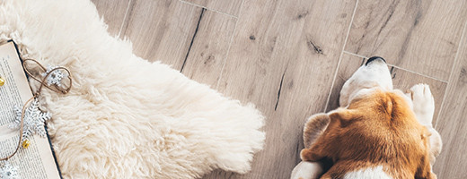 Korkov� podlahy EGGER Comfort