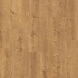 Vitality Jumbo JUM00421APL Aqua Dub pieskov�